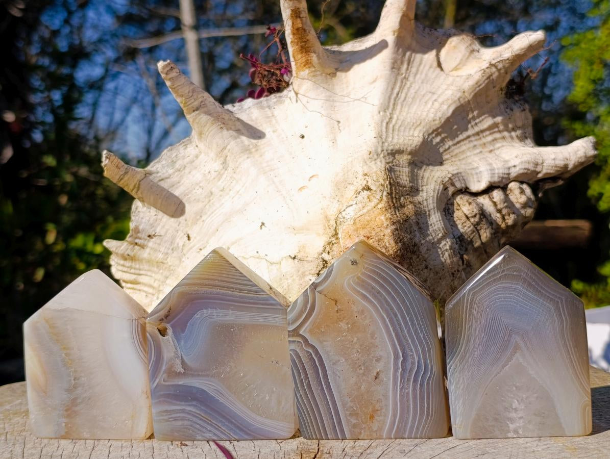 Polished Banded Agate House Shaped Slices x 12 From Madagascar - Toprock Gemstones and Minerals 