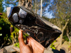 Polished Large Septerye Sauvage Display Crystal x 1 From Mahajanga, Madagascar - Toprock Gemstones and Minerals 