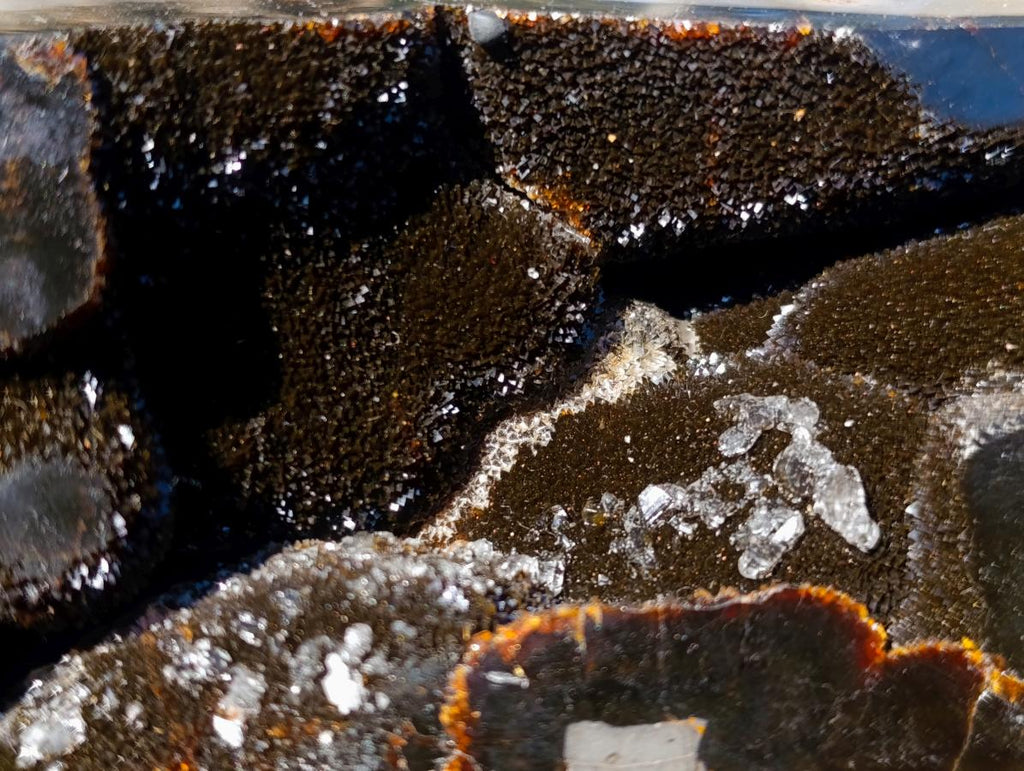 Polished Large Septerye Sauvage Display Crystal x 1 From Mahajanga, Madagascar - Toprock Gemstones and Minerals 