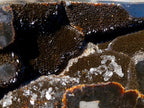 Polished Large Septerye Sauvage Display Crystal x 1 From Mahajanga, Madagascar - Toprock Gemstones and Minerals 