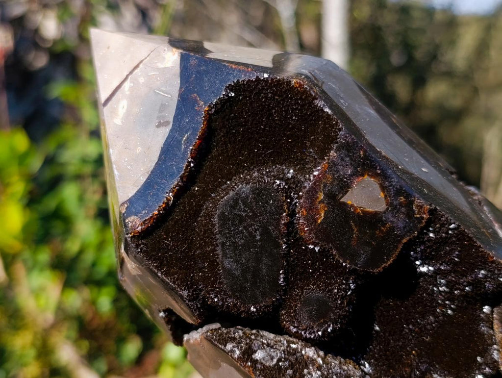 Polished Large Septerye Sauvage Display Crystal x 1 From Mahajanga, Madagascar - Toprock Gemstones and Minerals 