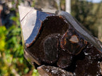 Polished Large Septerye Sauvage Display Crystal x 1 From Mahajanga, Madagascar - Toprock Gemstones and Minerals 