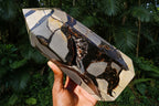 Polished Large Septerye Sauvage Display Crystal x 1 From Mahajanga, Madagascar - Toprock Gemstones and Minerals 