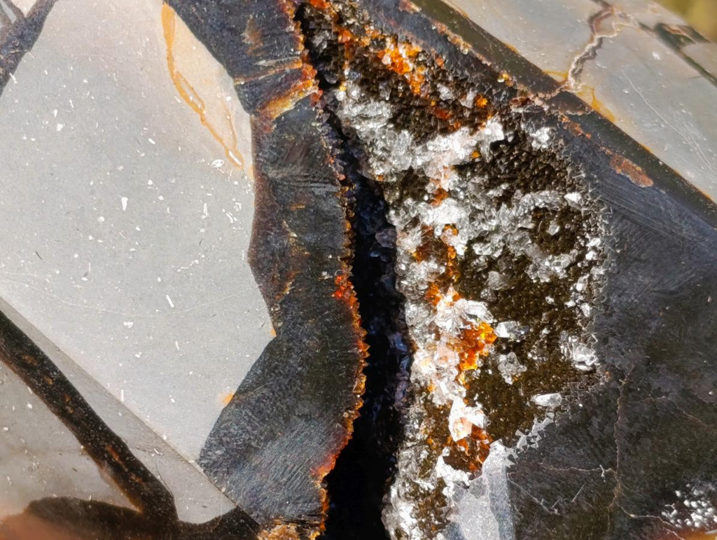 Polished Large Septerye Sauvage Display Crystal x 1 From Mahajanga, Madagascar - Toprock Gemstones and Minerals 