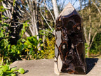 Polished Large Septerye Sauvage Display Crystal x 1 From Mahajanga, Madagascar - Toprock Gemstones and Minerals 