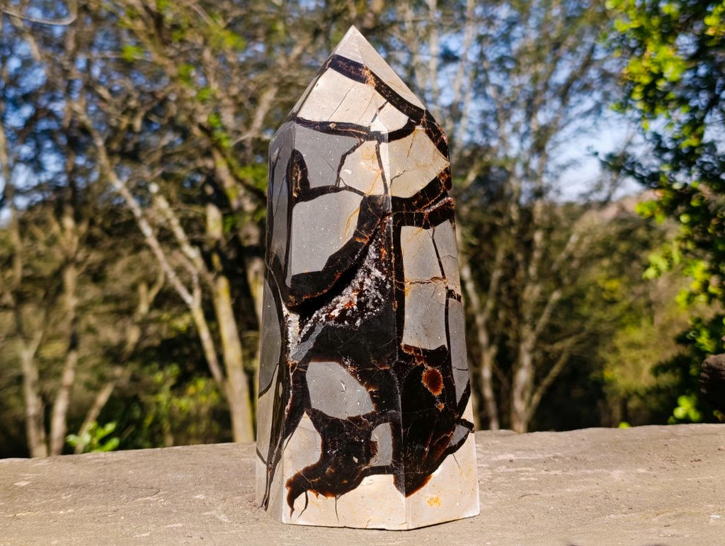 Polished Large Septerye Sauvage Display Crystal x 1 From Mahajanga, Madagascar - Toprock Gemstones and Minerals 