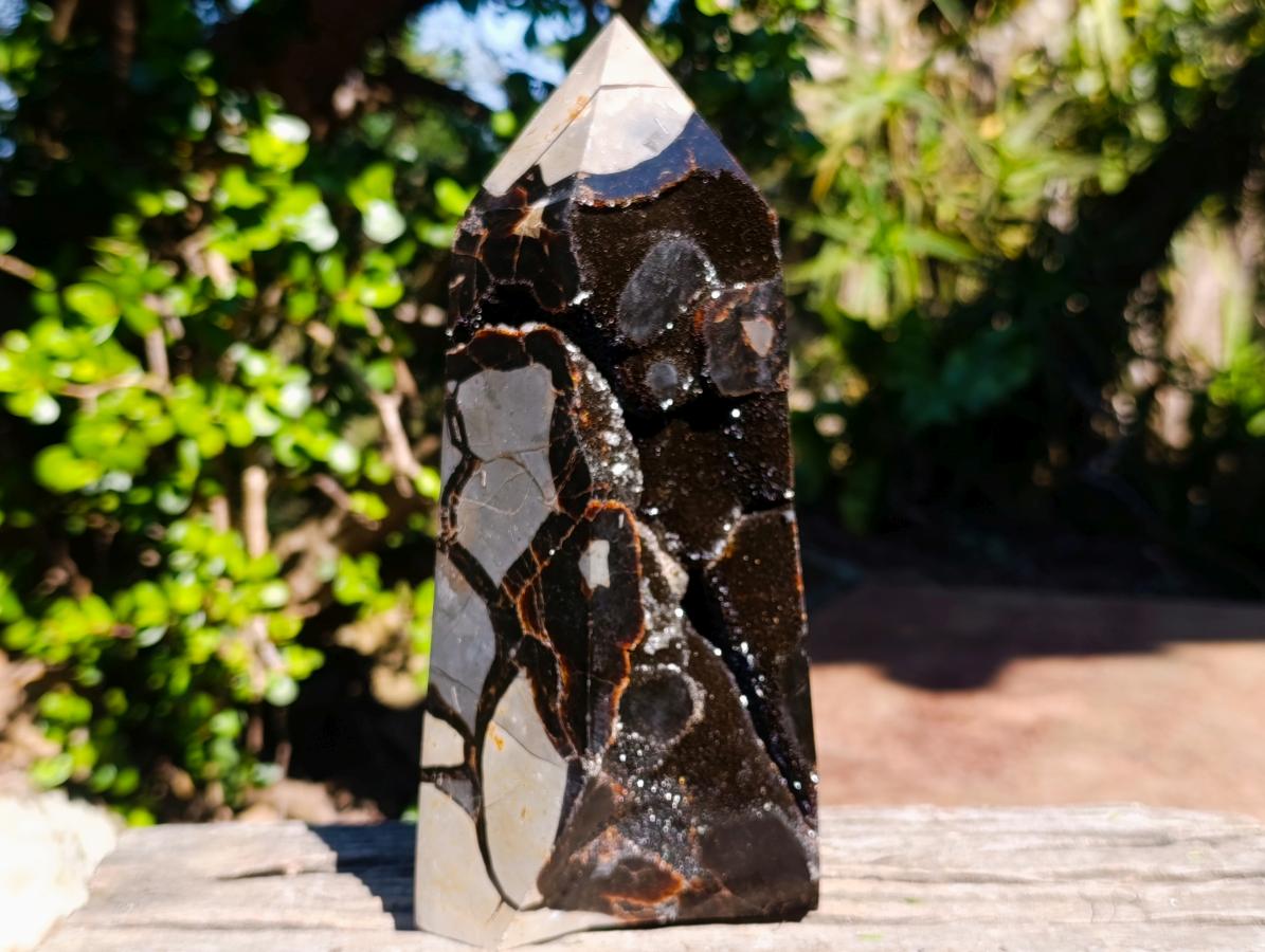 Polished Large Septerye Sauvage Display Crystal x 1 From Mahajanga, Madagascar - Toprock Gemstones and Minerals 