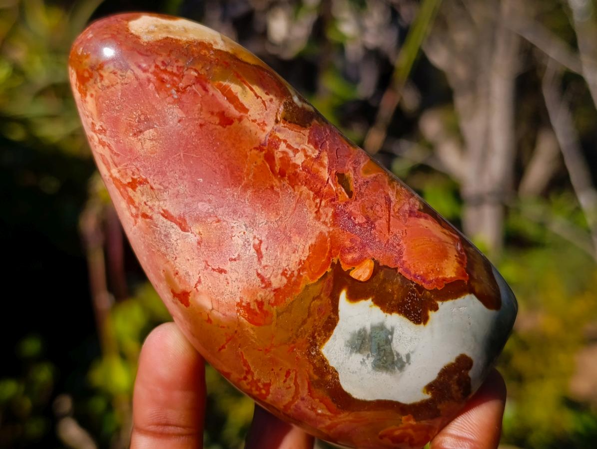 Polished Polychrome Jasper Standing Display Pieces and Spheres x 6 From NW Coast, Madagascar - Toprock Gemstones and Minerals 
