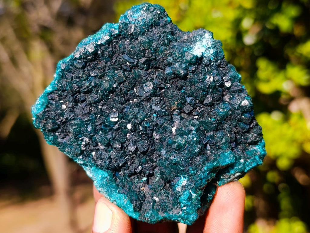 Natural Dioptase on Dolomite Specimens x 6 From Likasi, Congo - Toprock Gemstones and Minerals 