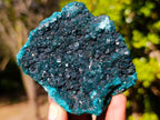 Natural Dioptase on Dolomite Specimens x 6 From Likasi, Congo - Toprock Gemstones and Minerals 