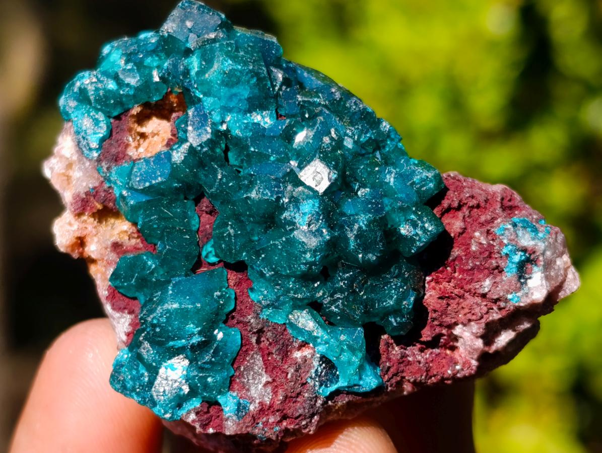 Natural Dioptase on Dolomite Specimens x 6 From Likasi, Congo - Toprock Gemstones and Minerals 