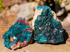 Natural Dioptase on Dolomite Specimens x 6 From Likasi, Congo - Toprock Gemstones and Minerals 