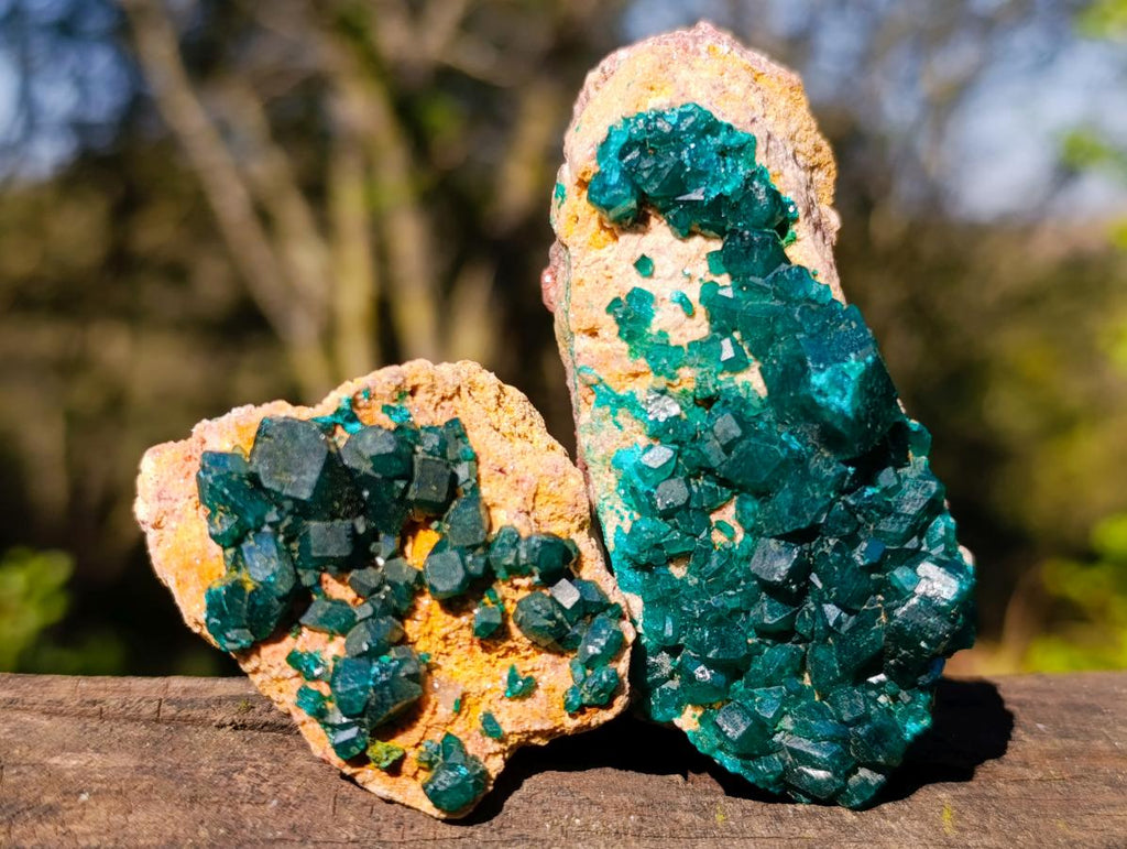 Natural Dioptase on Dolomite Specimens x 6 From Likasi, Congo - Toprock Gemstones and Minerals 