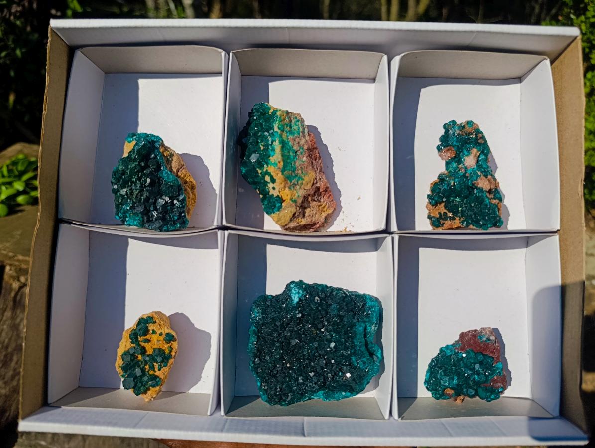 Natural Dioptase on Dolomite Specimens x 6 From Likasi, Congo - Toprock Gemstones and Minerals 