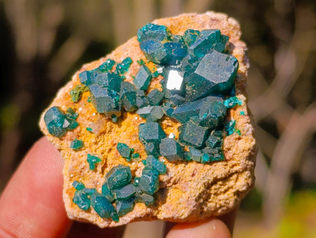 Natural Dioptase on Dolomite Specimens x 6 From Likasi, Congo - Toprock Gemstones and Minerals 