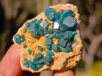 Natural Dioptase on Dolomite Specimens x 6 From Likasi, Congo - Toprock Gemstones and Minerals 