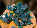 Natural Dioptase on Dolomite Specimens x 6 From Likasi, Congo - Toprock Gemstones and Minerals 