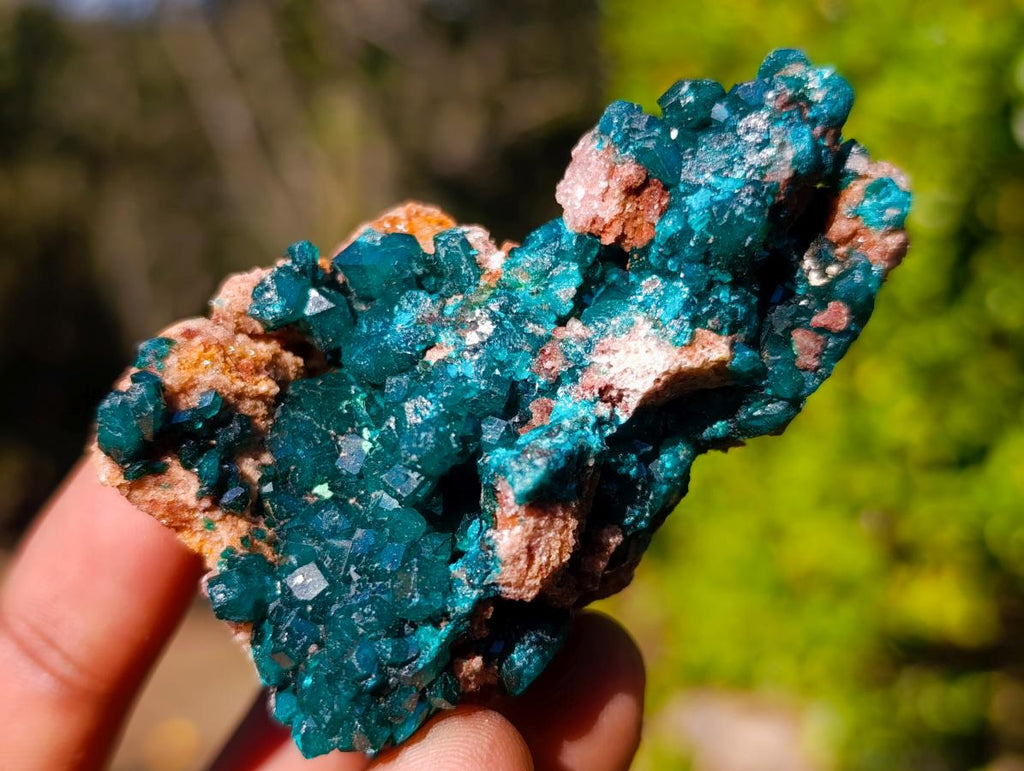 Natural Dioptase on Dolomite Specimens x 6 From Likasi, Congo - Toprock Gemstones and Minerals 