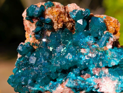 Natural Dioptase on Dolomite Specimens x 6 From Likasi, Congo - Toprock Gemstones and Minerals 