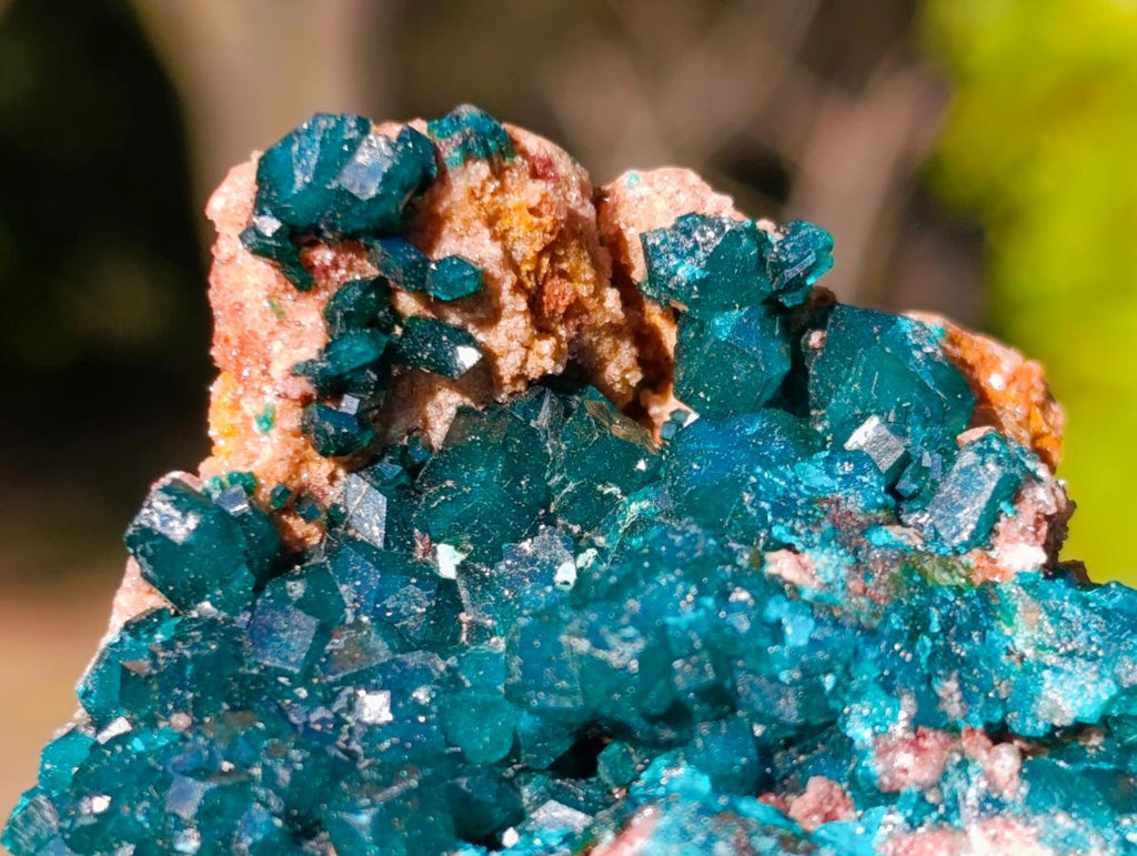 Natural Dioptase on Dolomite Specimens x 6 From Likasi, Congo - Toprock Gemstones and Minerals 