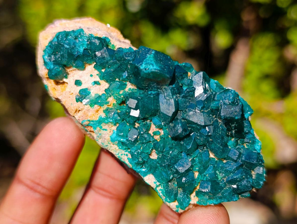 Natural Dioptase on Dolomite Specimens x 6 From Likasi, Congo - Toprock Gemstones and Minerals 