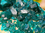 Natural Dioptase on Dolomite Specimens x 6 From Likasi, Congo - Toprock Gemstones and Minerals 