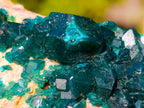 Natural Dioptase on Dolomite Specimens x 6 From Likasi, Congo - Toprock Gemstones and Minerals 