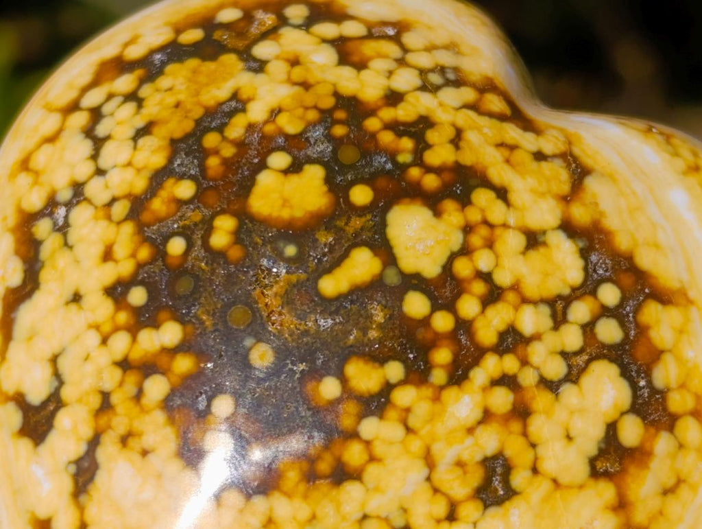 Polished Ocean Jasper Hearts x 6 From Northwest Coast, Madagascar - Toprock Gemstones and Minerals 
