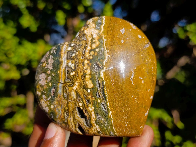 Polished Ocean Jasper Hearts x 6 From Northwest Coast, Madagascar - Toprock Gemstones and Minerals 