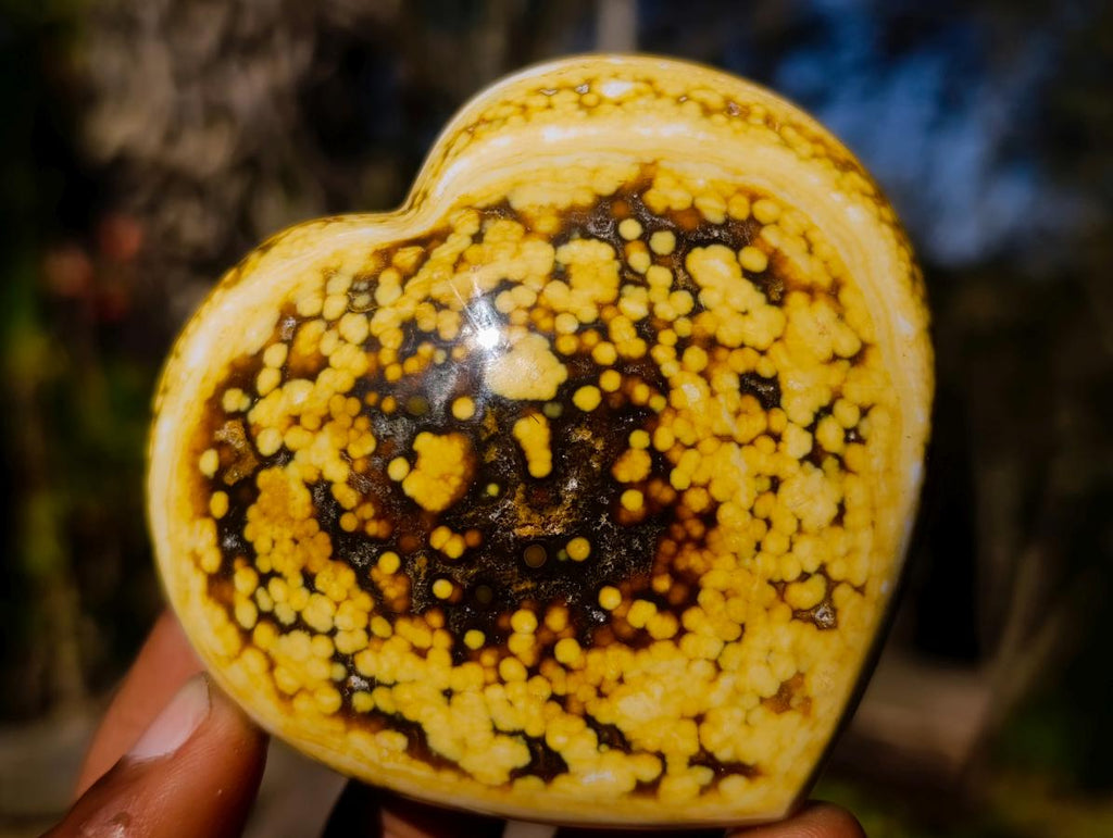 Polished Ocean Jasper Hearts x 6 From Northwest Coast, Madagascar - Toprock Gemstones and Minerals 