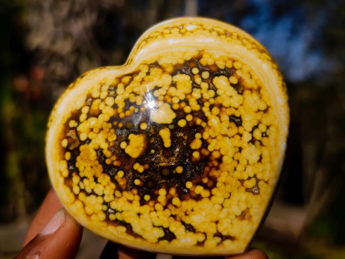Polished Ocean Jasper Hearts x 6 From Northwest Coast, Madagascar - Toprock Gemstones and Minerals 