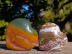 Polished Ocean Jasper Hearts x 6 From Northwest Coast, Madagascar - Toprock Gemstones and Minerals 