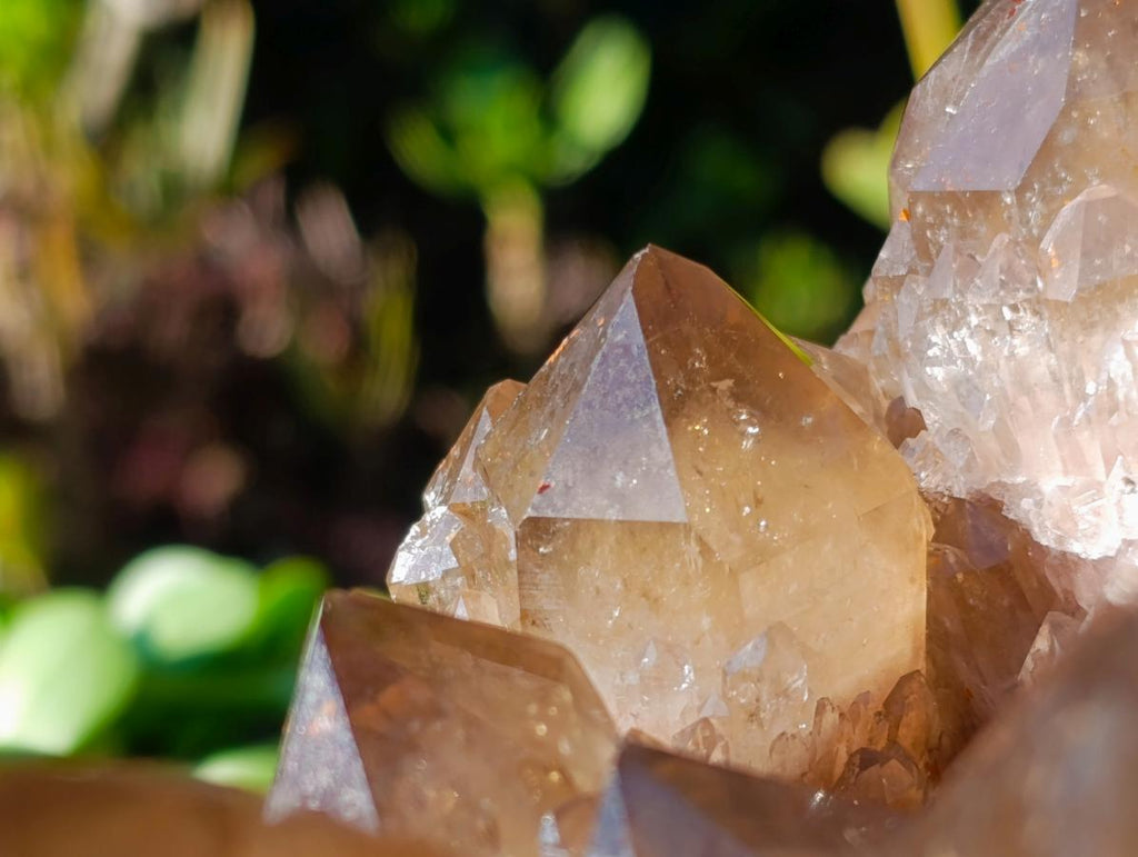 Natural XL Cascading Phantom Smokey Luena Quartz Cluster x 1 From Luena, Congo - Toprock Gemstones and Minerals 