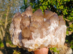 Natural XL Cascading Phantom Smokey Luena Quartz Cluster x 1 From Luena, Congo - Toprock Gemstones and Minerals 