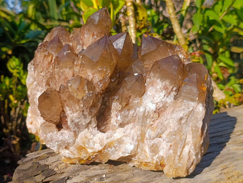 Natural XL Cascading Phantom Smokey Luena Quartz Cluster x 1 From Luena, Congo - Toprock Gemstones and Minerals 