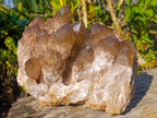 Natural XL Cascading Phantom Smokey Luena Quartz Cluster x 1 From Luena, Congo - Toprock Gemstones and Minerals 