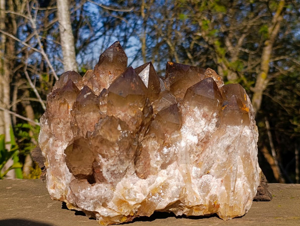 Natural XL Cascading Phantom Smokey Luena Quartz Cluster x 1 From Luena, Congo - Toprock Gemstones and Minerals 