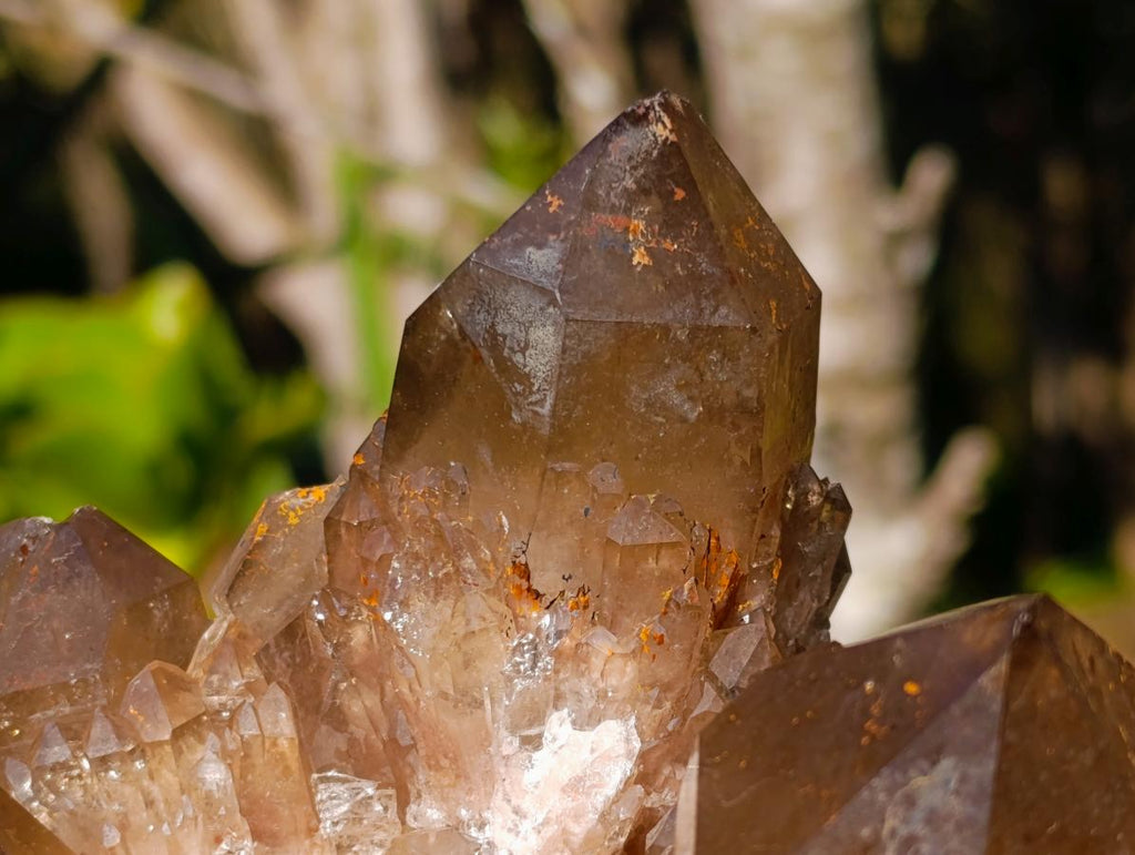 Natural XL Cascading Phantom Smokey Luena Quartz Cluster x 1 From Luena, Congo - Toprock Gemstones and Minerals 