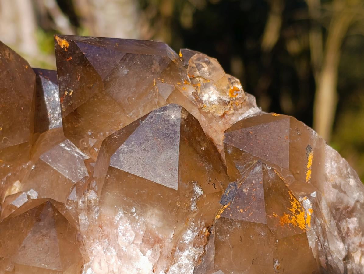 Natural XL Cascading Phantom Smokey Luena Quartz Cluster x 1 From Luena, Congo - Toprock Gemstones and Minerals 