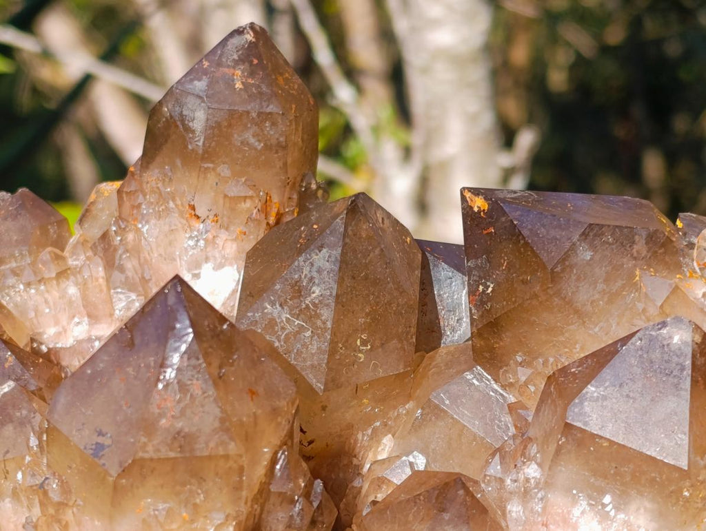 Natural XL Cascading Phantom Smokey Luena Quartz Cluster x 1 From Luena, Congo - Toprock Gemstones and Minerals 