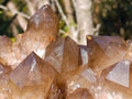 Natural XL Cascading Phantom Smokey Luena Quartz Cluster x 1 From Luena, Congo - Toprock Gemstones and Minerals 