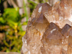 Natural XL Cascading Phantom Smokey Luena Quartz Cluster x 1 From Luena, Congo - Toprock Gemstones and Minerals 
