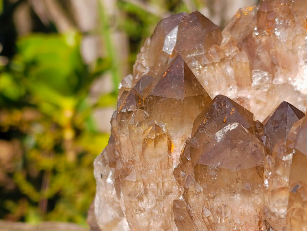 Natural XL Cascading Phantom Smokey Luena Quartz Cluster x 1 From Luena, Congo - Toprock Gemstones and Minerals 