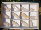 Polished Elestial Girasol Quartz Crystals x 12 From Madagascar - Toprock Gemstones and Minerals 