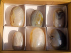 Polished Banded Agate Standing Display Pieces x 6 From Madagascar - Toprock Gemstones and Minerals 