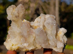 Natural Drusy Fairy Spirit Quartz Clusters x 12 From Boekenhouthoek, South Africa - Toprock Gemstones and Minerals 
