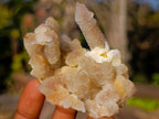 Natural Drusy Fairy Spirit Quartz Clusters x 12 From Boekenhouthoek, South Africa - Toprock Gemstones and Minerals 