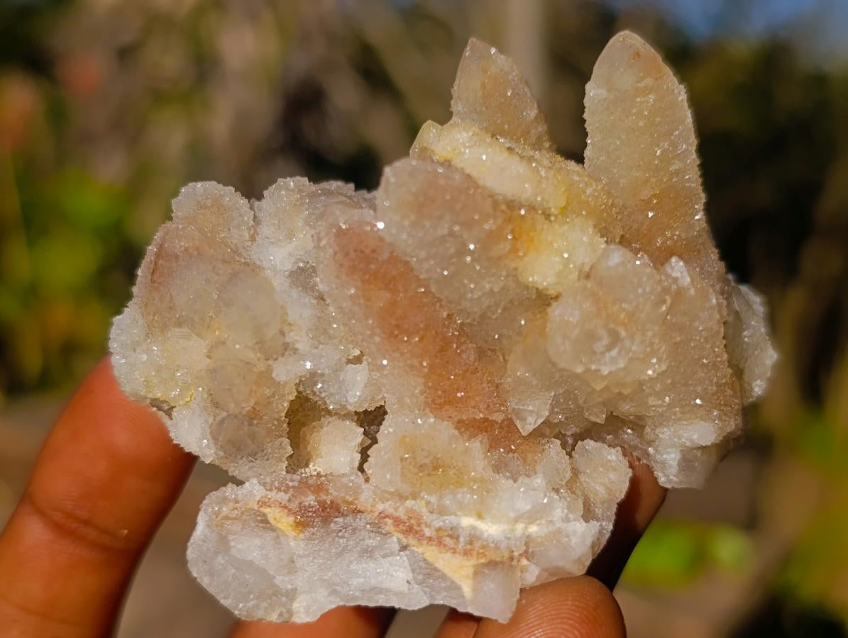 Natural Drusy Fairy Spirit Quartz Clusters x 12 From Boekenhouthoek, South Africa - Toprock Gemstones and Minerals 