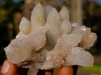 Natural Drusy Fairy Spirit Quartz Clusters x 12 From Boekenhouthoek, South Africa - Toprock Gemstones and Minerals 