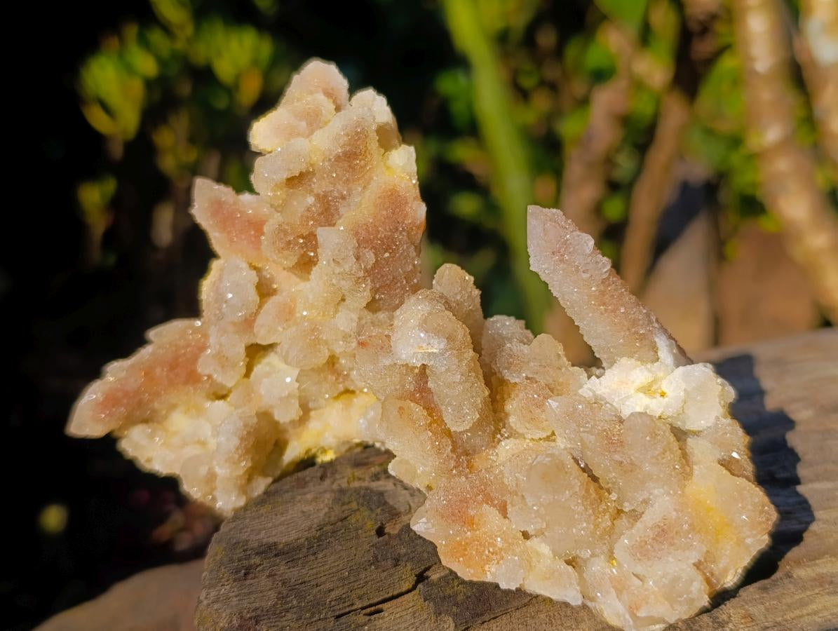 Natural Drusy Fairy Spirit Quartz Clusters x 12 From Boekenhouthoek, South Africa - Toprock Gemstones and Minerals 